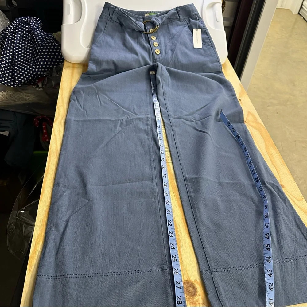 Anthropologie Wide Leg Button Front Pants – Size 4 – Wedgewood Blue - Picture 2 of 10